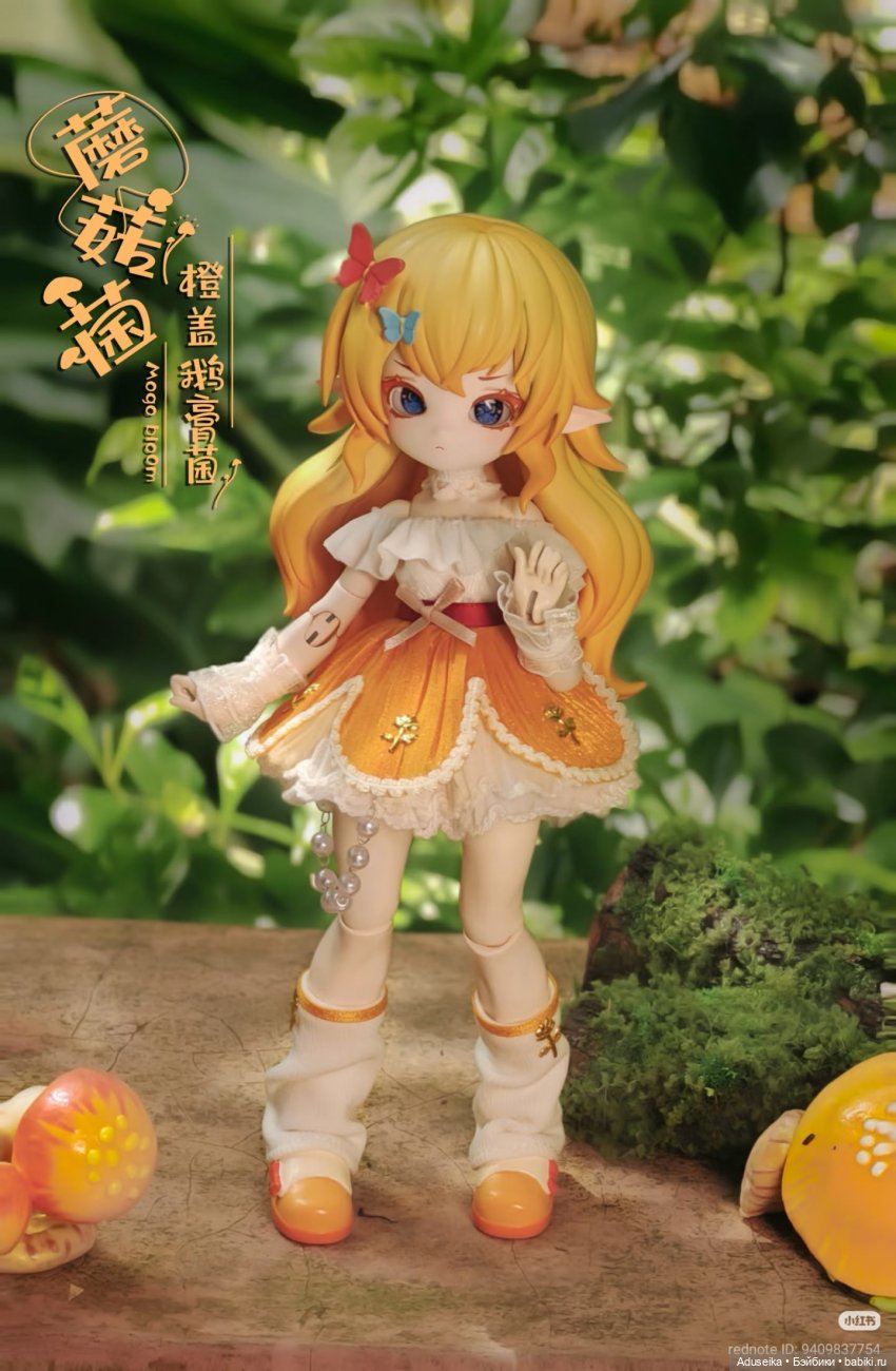 Время собирать грибы 🍄 🍄‍🟫🍄‍🟫