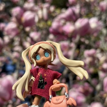 Poppy 🌸 на фоне магнолий