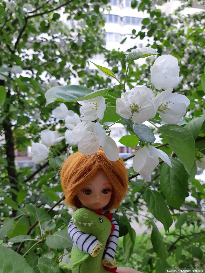 Маленькая Баболи — Куклы Baboliy (Баболи (фото 4)