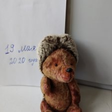 Ежж ищет дом