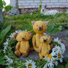 Фотосессия