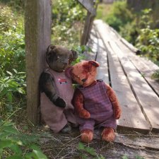 Августовская прогулка .