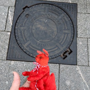 Путешествие одного зайца