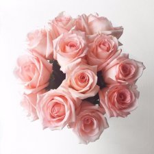 Девочки, подскажите