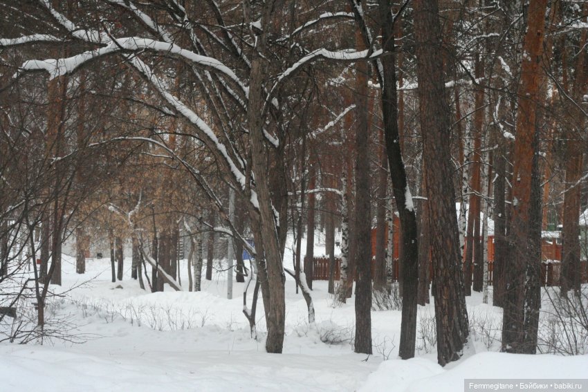 DollCi Awards - 2021. День 2. Снежно-развлекательный (фото 2)