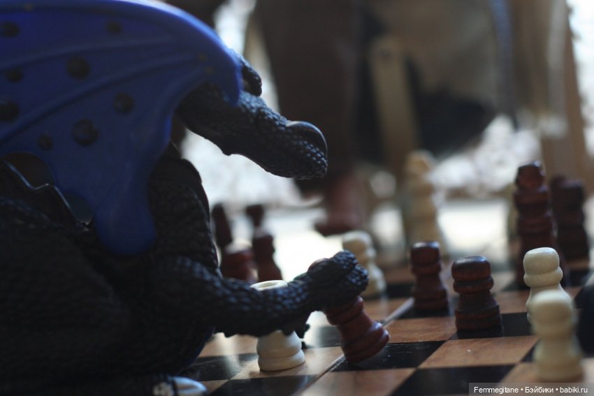 Молодой волшебник. Августофест 2022