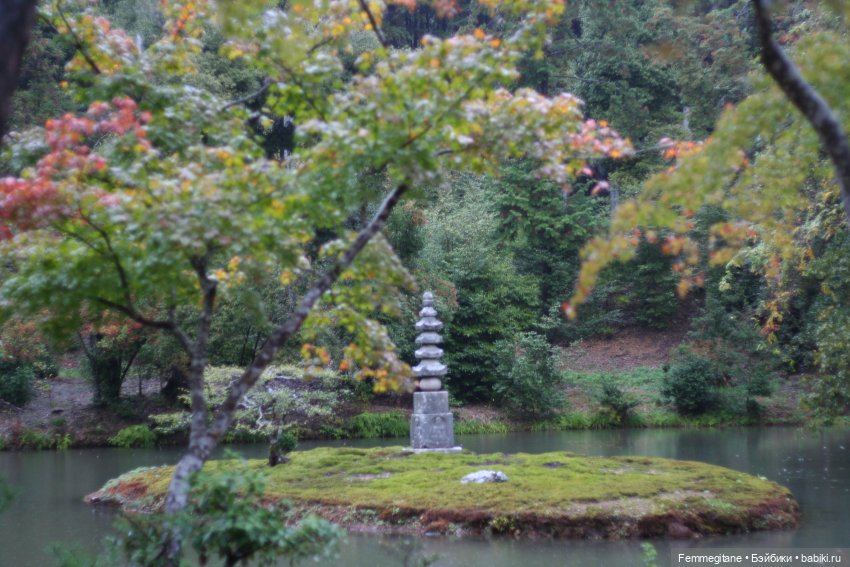 Кинофестиваль. DollCi Awards - 2022. Преноминация. Программа фестиваля (фото 5)