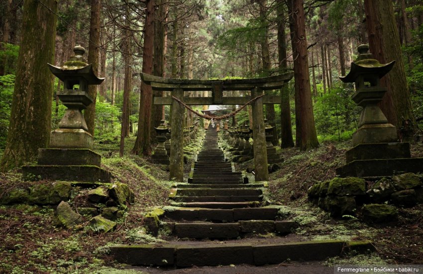 DollCi - Awards - 2022. Полная программа фестиваля (фото 9)