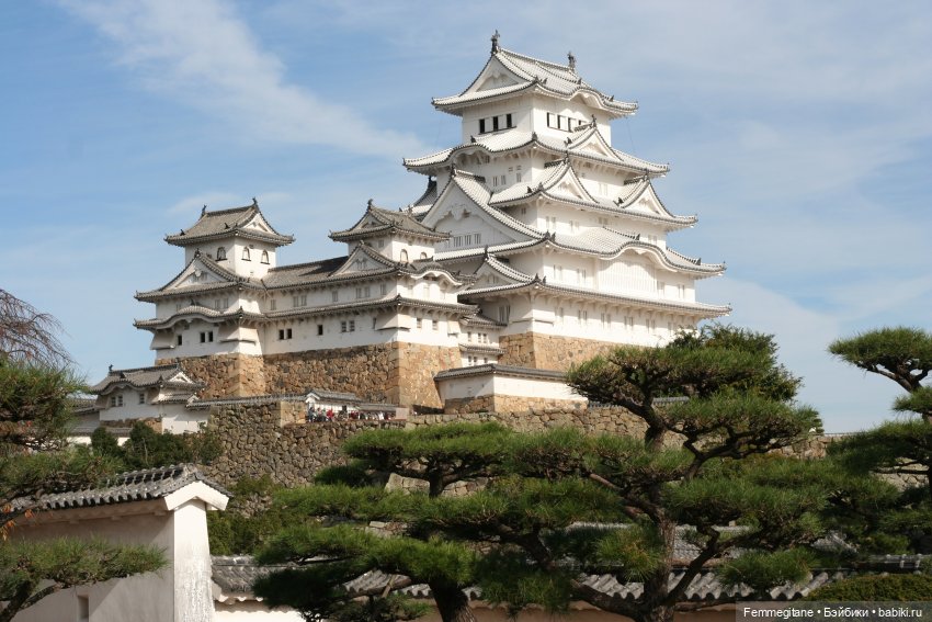 DollCi - Awards - 2022. Полная программа фестиваля (фото 10)