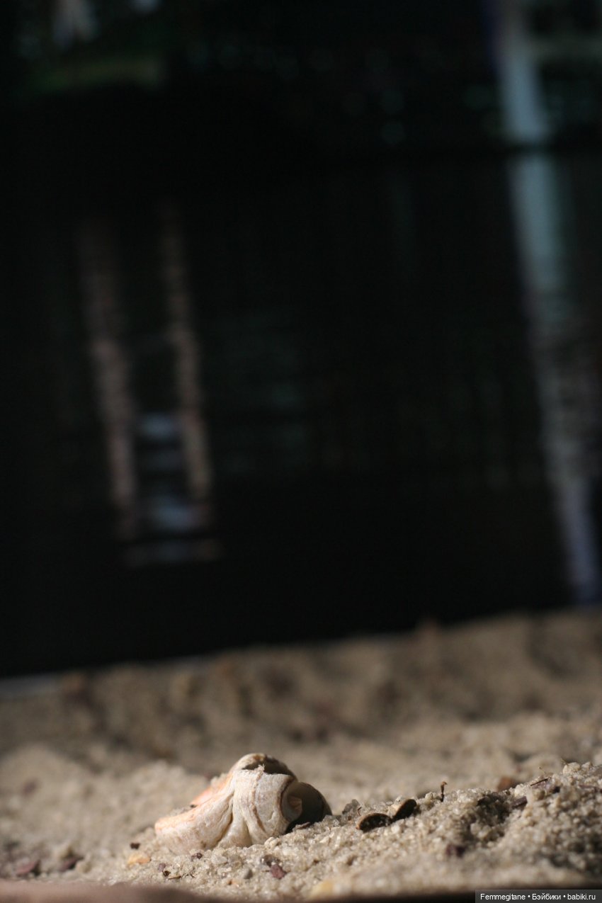 Посвящаяется DollCi - Awards - 2022/ Рассуждения у радужного моста