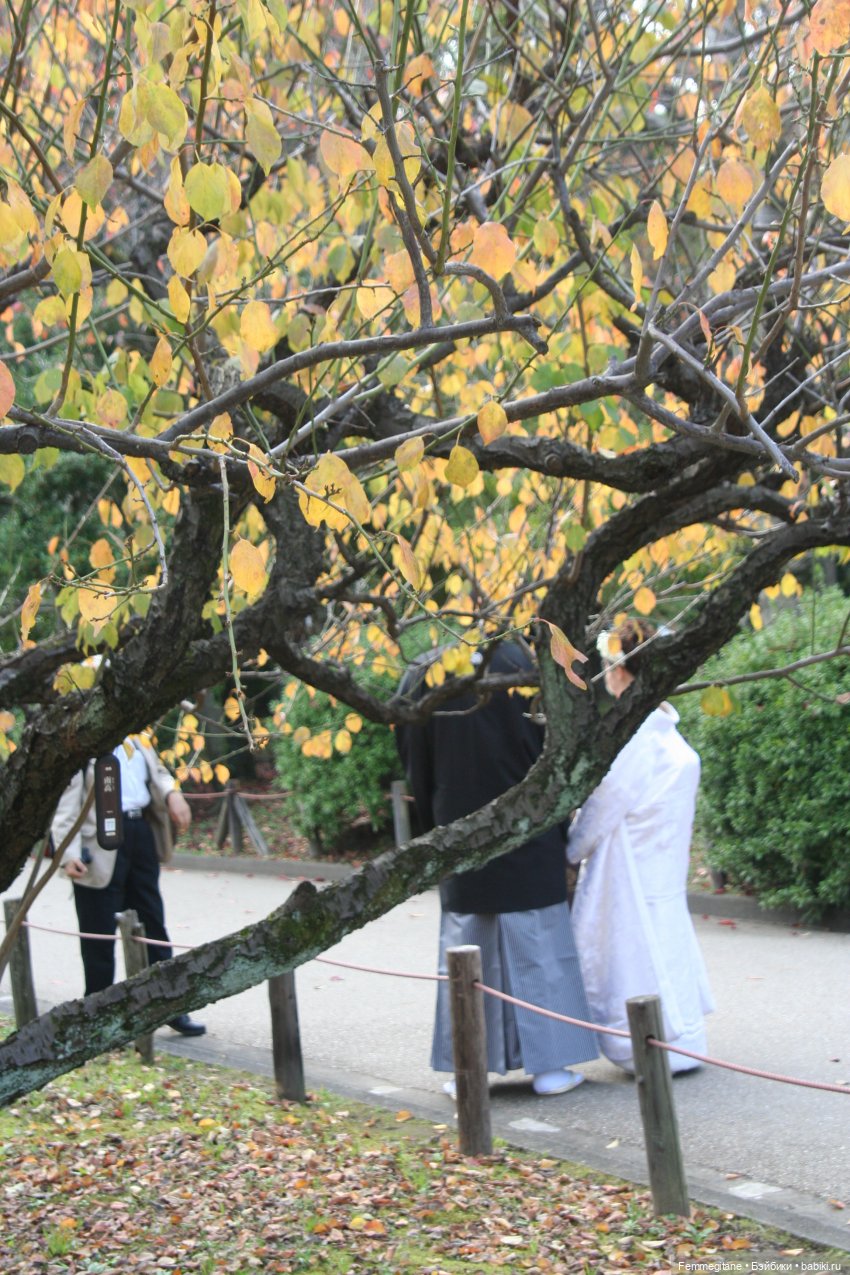 DollCi - Awards - 2022 День 4. Нагоя - Осака (фото 10)