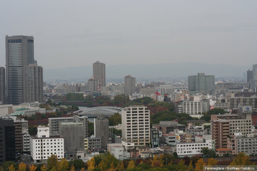 DollCi - Awards - 2022 День 4. Нагоя - Осака