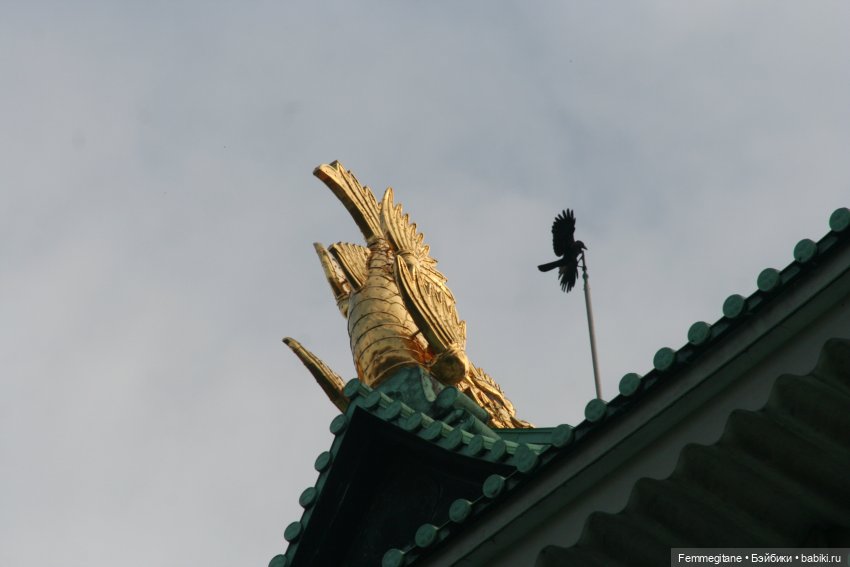 DollCi - Awards - 2022 День 4. Нагоя - Осака (фото 6)