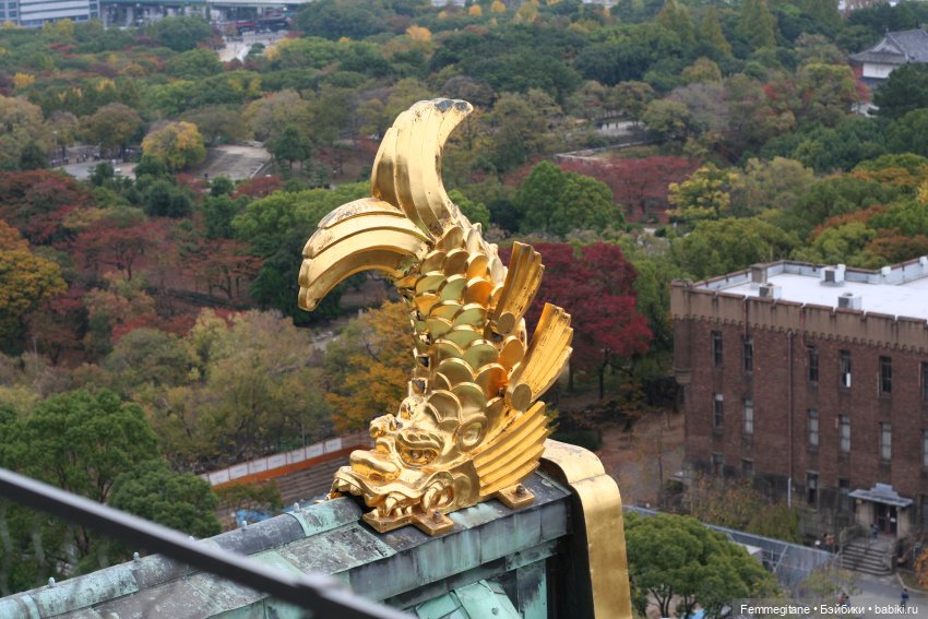 DollCi - Awards - 2022 День 4. Нагоя - Осака