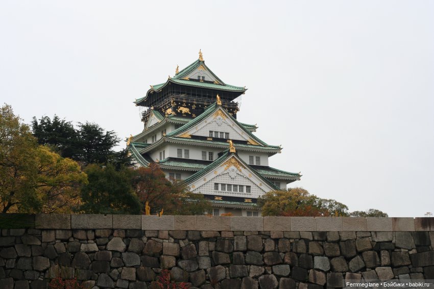 DollCi - Awards - 2022 День 4. Нагоя - Осака