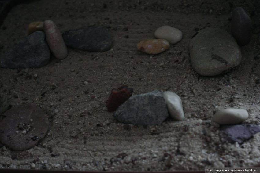 DollCi - Awards - 2022. День 5. Киото. Гайдзины, дзен и немного романтики