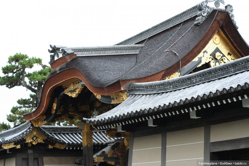 DollCi - Awards - 2022. День 5. Киото. Гайдзины, дзен и немного романтики