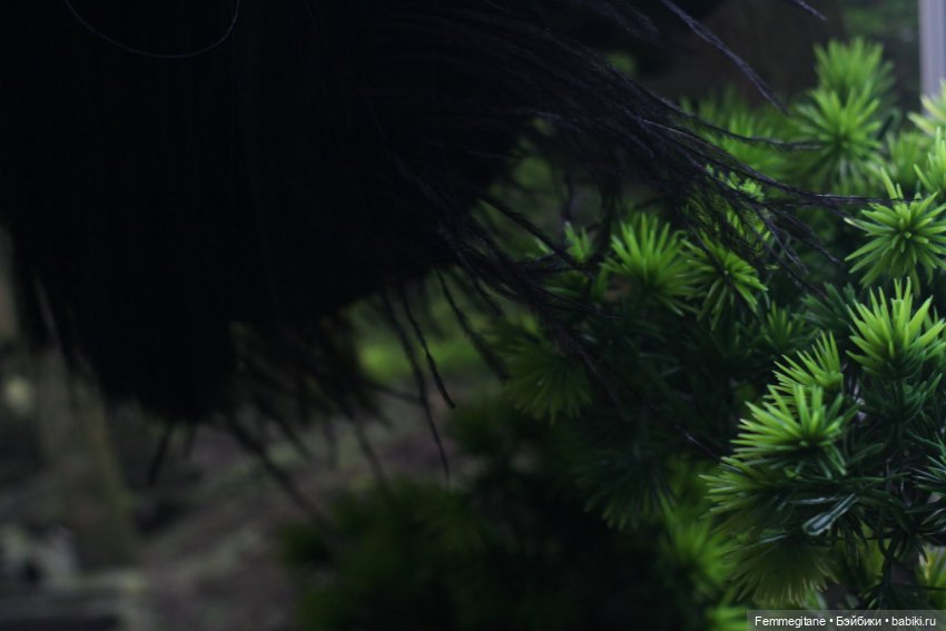 DollCi - Awards - 2022. День 6. Киото. Одноночная чаша. Вечер поэзии