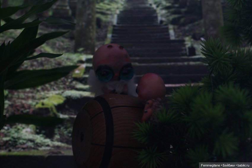 DollCi - Awards - 2022. День 6. Киото. Одноночная чаша. Вечер поэзии (фото 5)