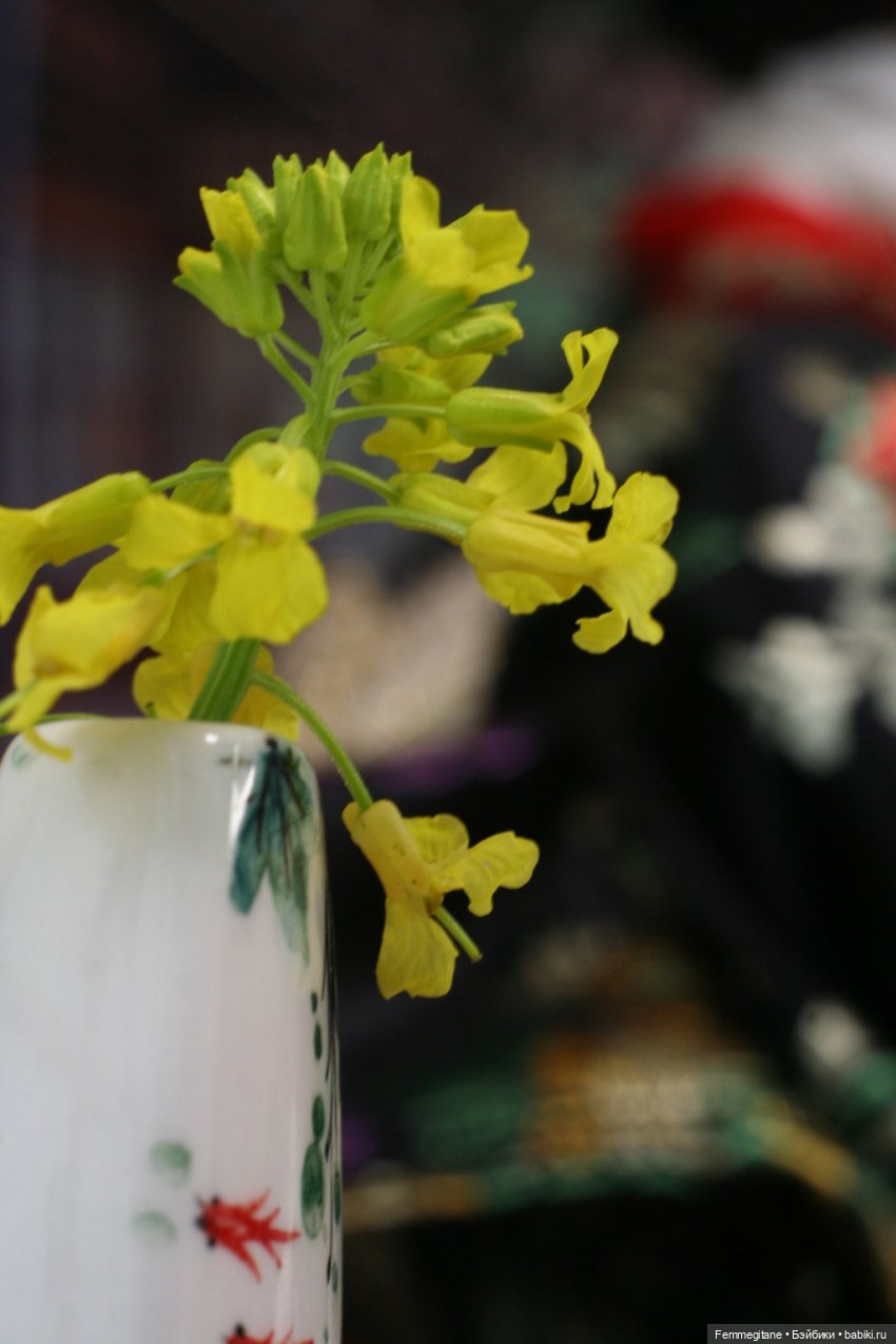 Хроники бросания веера. Глава 19