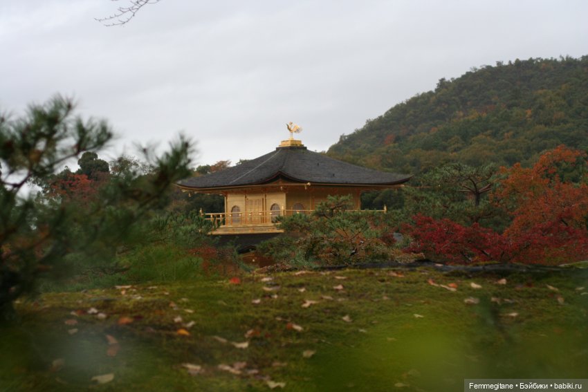 Хроники бросания веера. Глава 23 | Бэйбики Хроники бросания веера. Глава 23