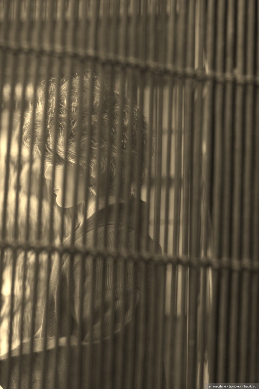 Хроники бросания веера. Глава 25