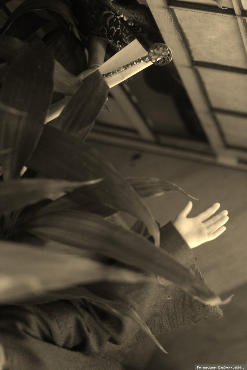 Хроники бросания веера. Глава 25