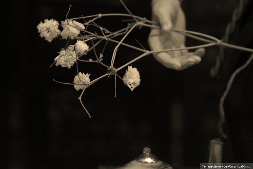 Хроники бросания веера. Глава 28