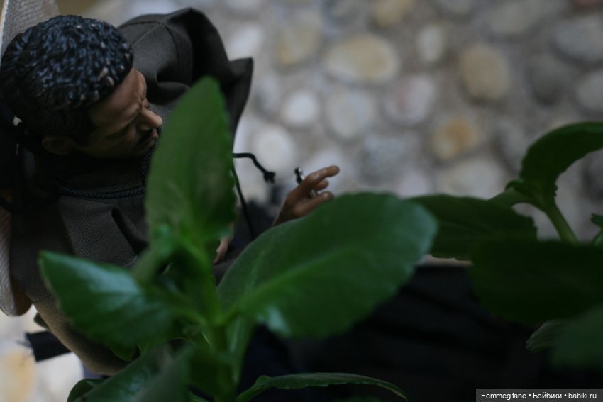 Хроники бросания веера. Глава 32