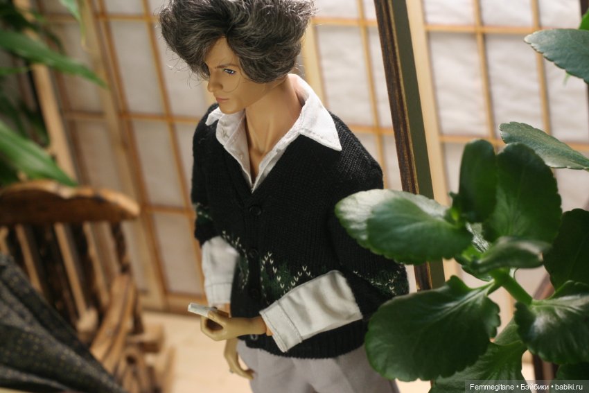 Хроники бросания веера. Глава 35 (фото 9)