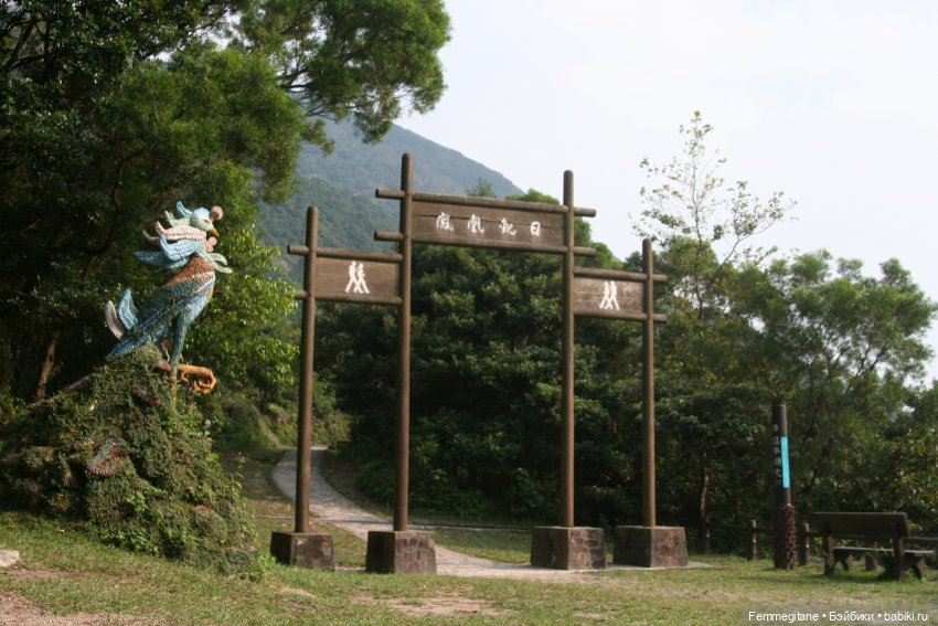 DollCi Awards - 2024 Подробная программа фестиваля (фото 9)