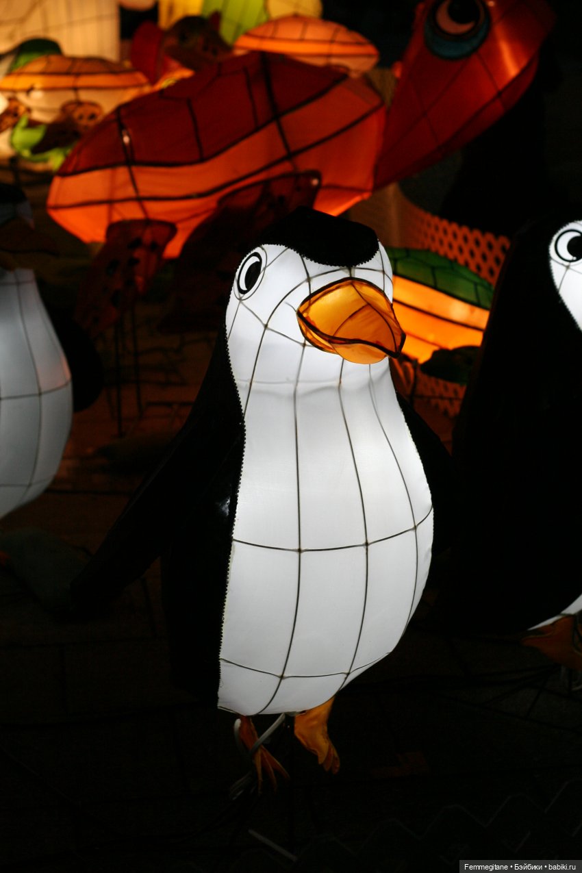 DollCi Awards - 2024 Подробная программа фестиваля (фото 2)