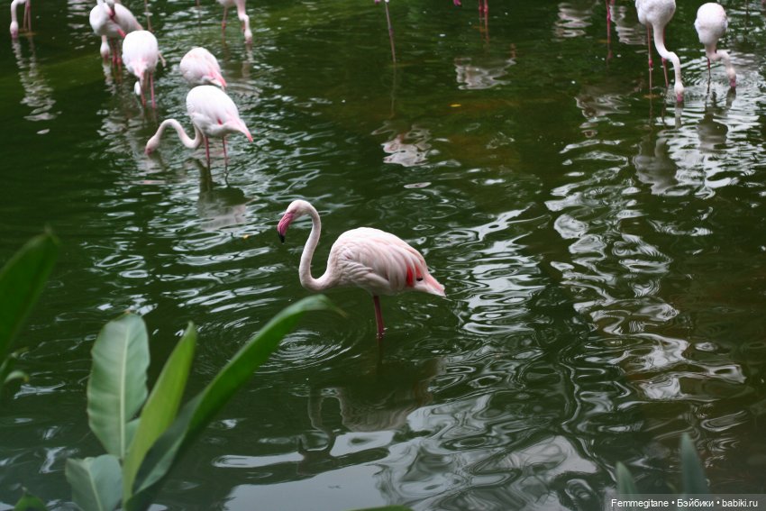 DollCi Awards - 2024 День 2. Гонконг - город контрастов