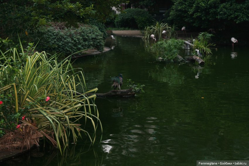 DollCi Awards - 2024 День 2. Гонконг - город контрастов