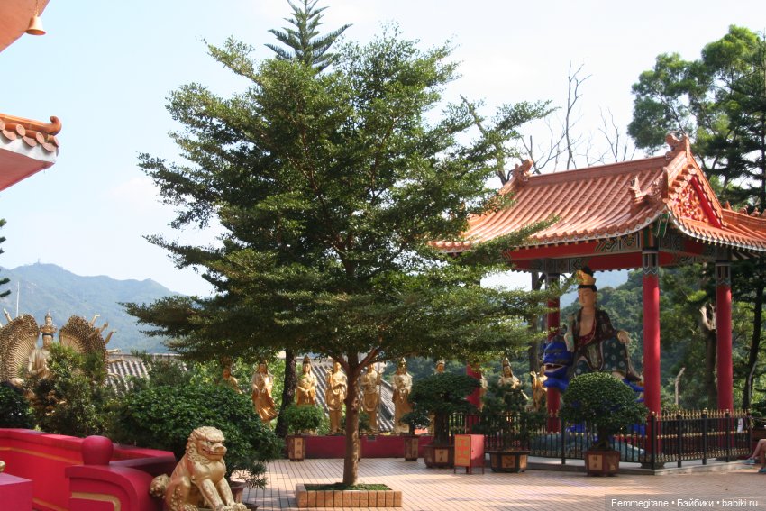 DollCi Awards - 2024 День 3. Гонконгские тайны