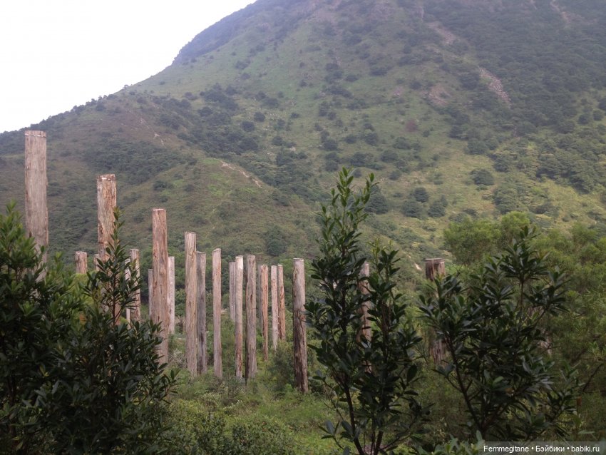 DollCi Awards - 2024 День 4. Лантау