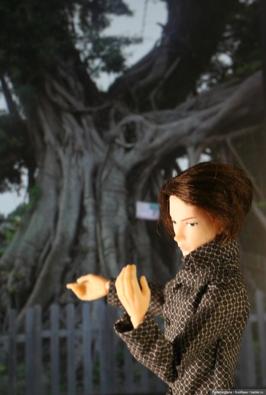 DollCi Awards - 2024 День 5. Макао