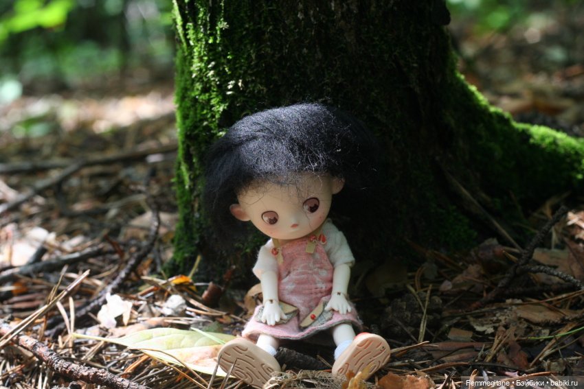 Августфест - 2025. В лес, где мерцают светлячки (фото 2)