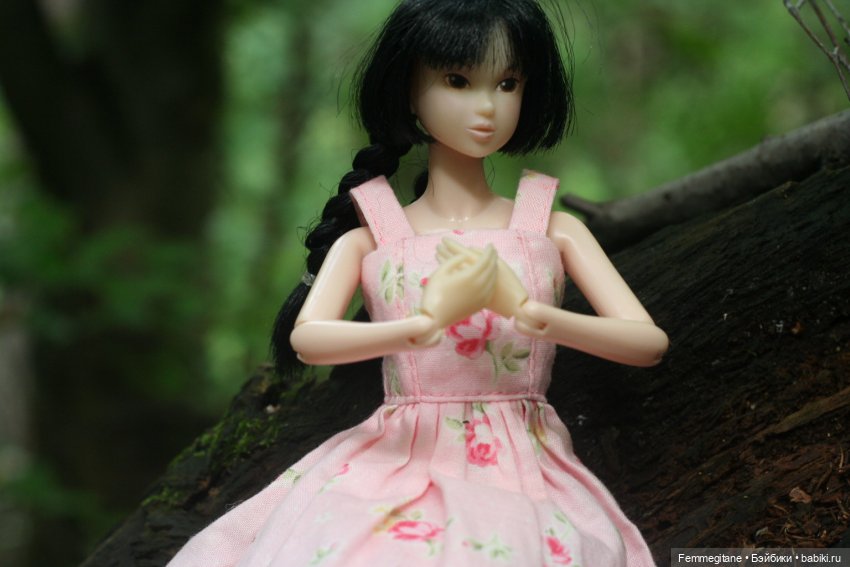 Августфест - 2025. В лес, где мерцают светлячки