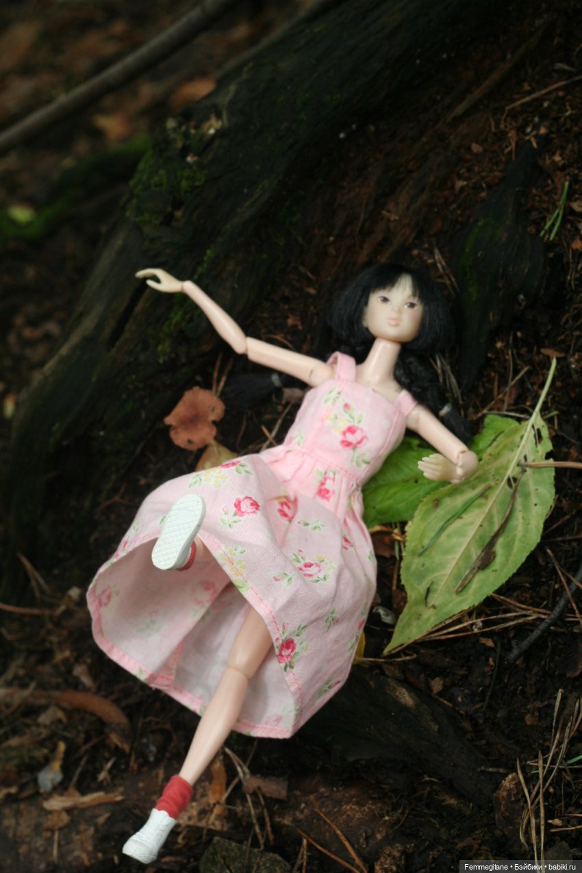 Августфест - 2025. В лес, где мерцают светлячки