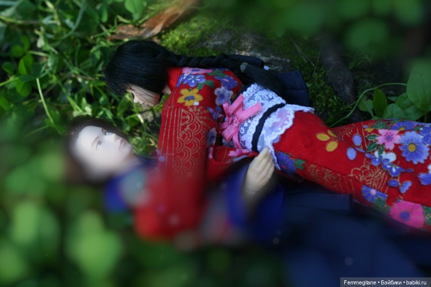 Августфест - 2025. В лес, где мерцают светлячки