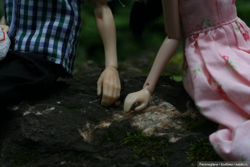 Августфест - 2025. В лес, где мерцают светлячки