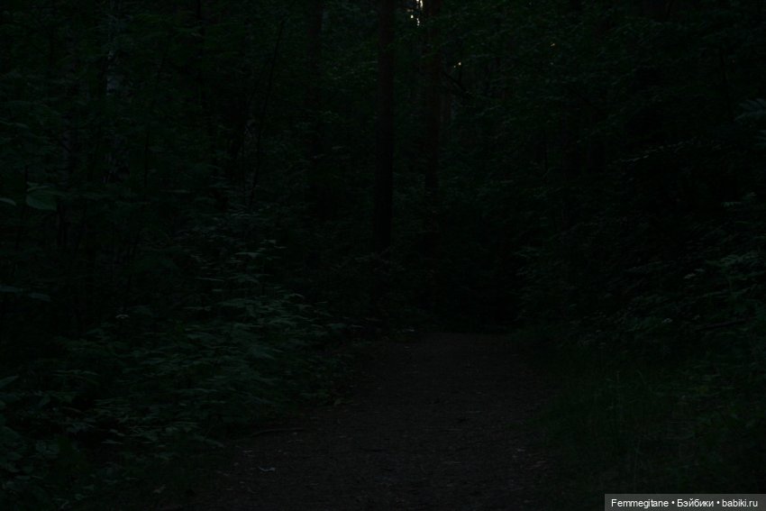 Августфест - 2025. В лес, где мерцают светлячки