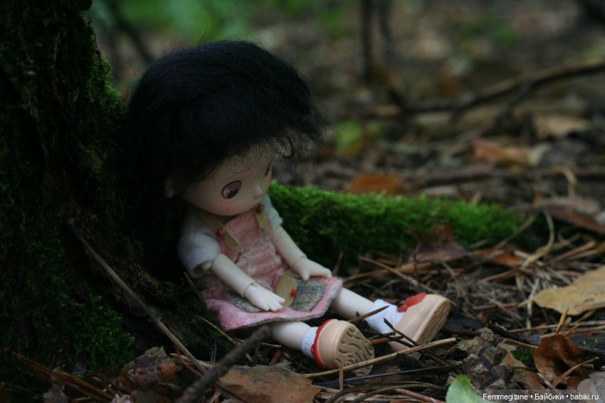 Августфест - 2025. В лес, где мерцают светлячки