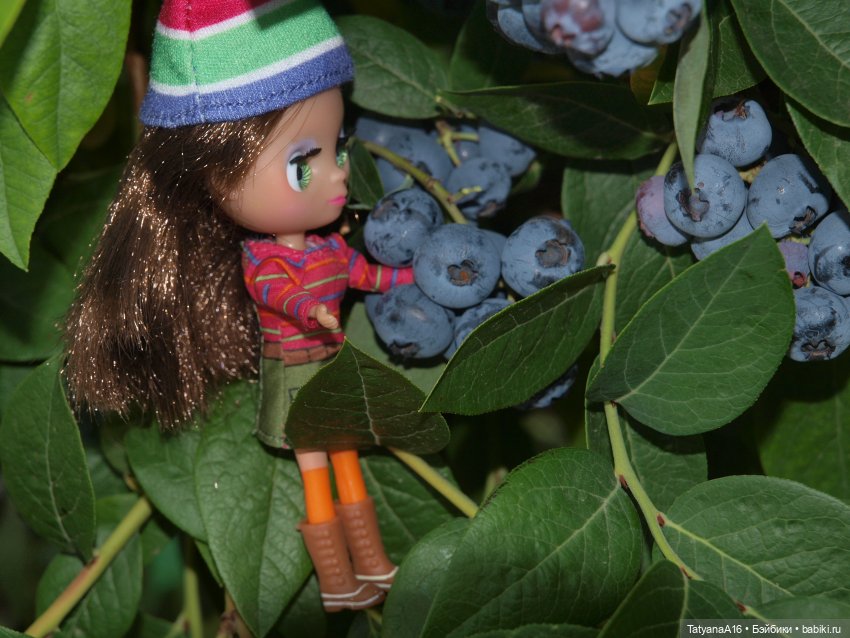 Куколки мини Блайз ярким летом (фото 3)