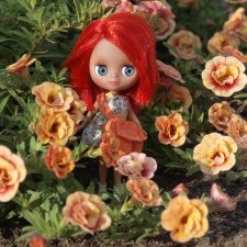 Куколки мини Блайз ярким летом