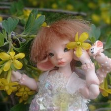 Мышуня и "солнышки" Смородины Золотистой☀