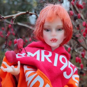 Барбариска Иден или как уговорить кукло-подростка поехать в осенний сад🍃🍂