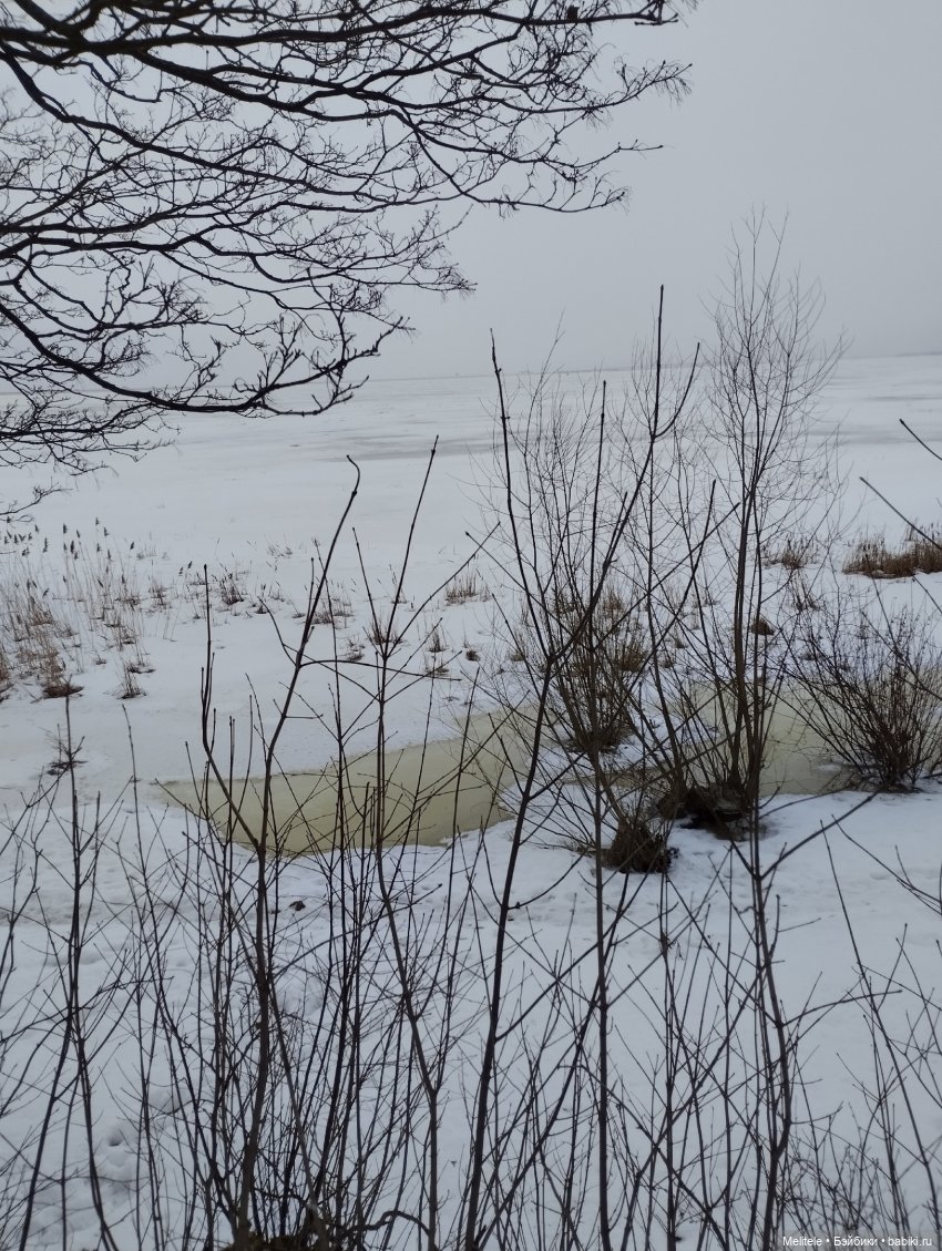 Зима Энате — Домашние фото авторских кукол: личные коллекции (фото 9)