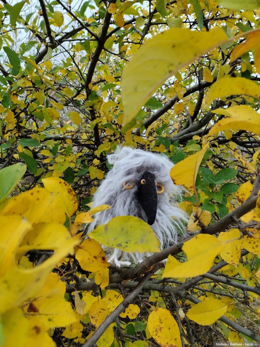 Когда Клара гуляла — Домашние фото авторских игрушек: Тедди